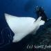 ray_eagle_dr_ci_h_0101_cos3941.jpg